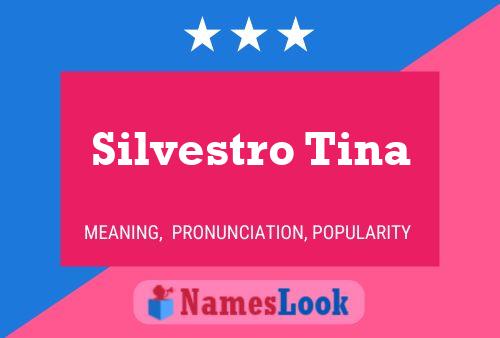 Pôster do nome Silvestro Tina