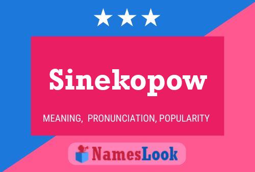 Pôster do nome Sinekopow