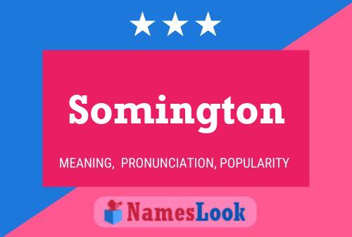 Pôster do nome Somington