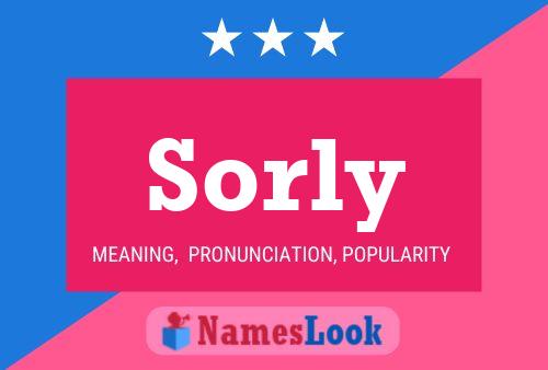 Pôster do nome Sorly