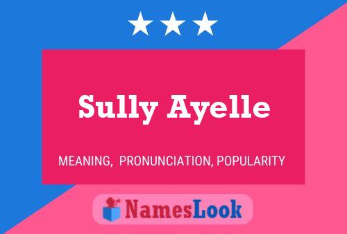 Pôster do nome Sully Ayelle