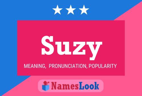 Pôster do nome Suzy