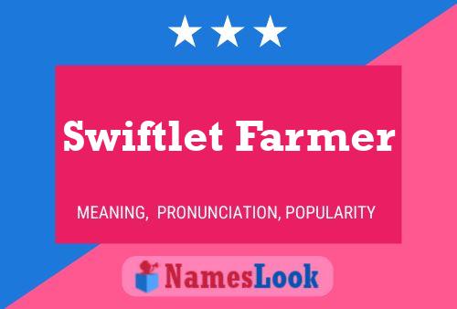 Pôster do nome Swiftlet Farmer