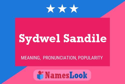 Pôster do nome Sydwel Sandile