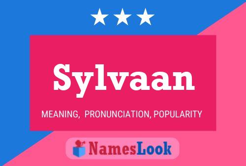 Pôster do nome Sylvaan