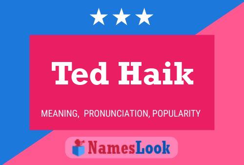 Pôster do nome Ted Haik