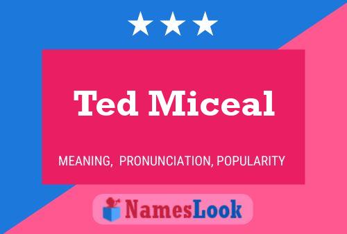 Pôster do nome Ted Miceal