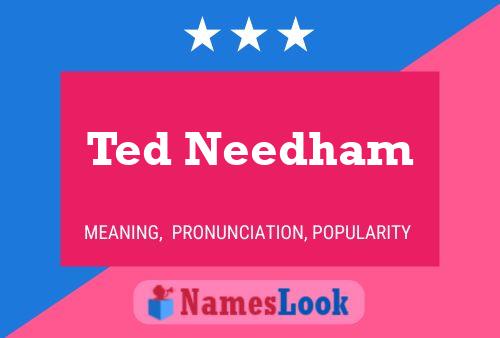 Pôster do nome Ted Needham