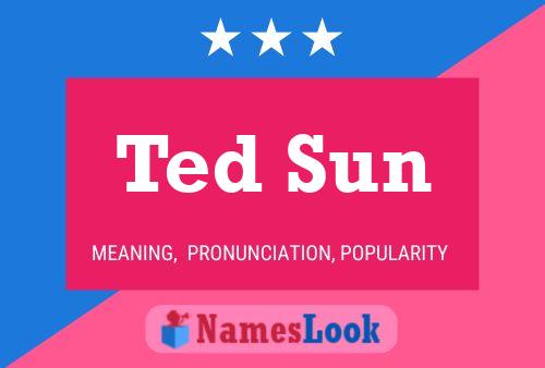 Pôster do nome Ted Sun