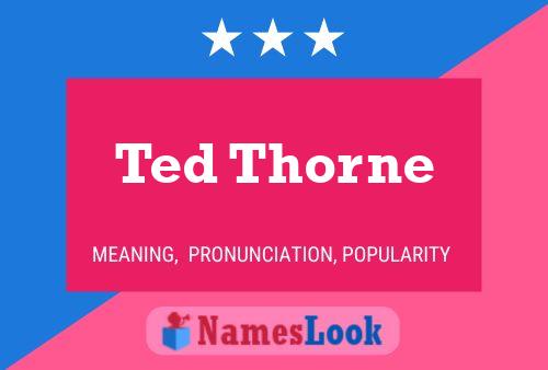 Pôster do nome Ted Thorne