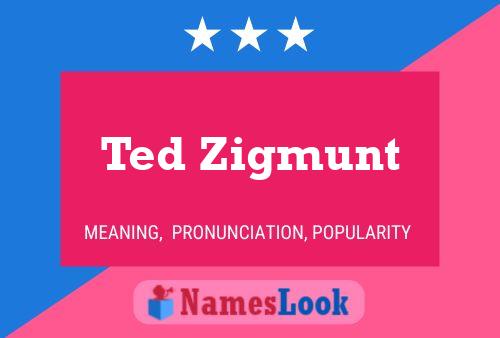 Pôster do nome Ted Zigmunt