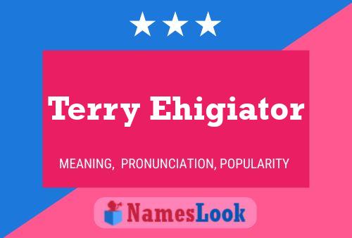 Pôster do nome Terry Ehigiator