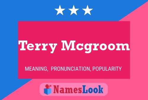 Pôster do nome Terry Mcgroom