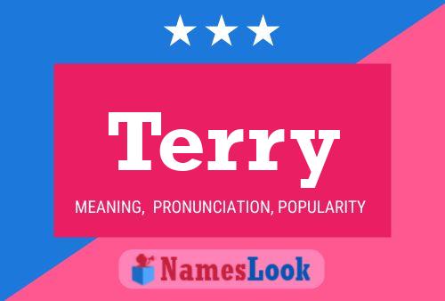 Pôster do nome Terry