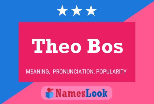 Pôster do nome Theo Bos