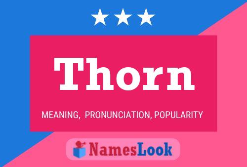 Pôster do nome Thorn