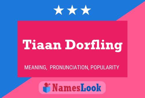 Pôster do nome Tiaan Dorfling