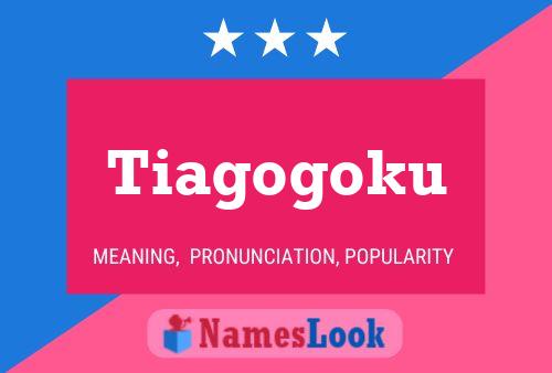 Pôster do nome Tiagogoku