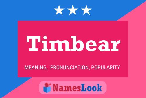 Pôster do nome Timbear