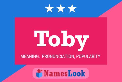 Pôster do nome Toby