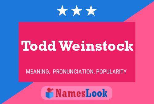 Pôster do nome Todd Weinstock