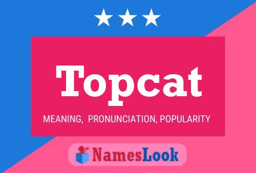 Pôster do nome Topcat