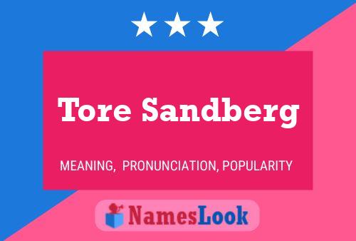 Pôster do nome Tore Sandberg