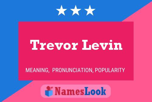 Pôster do nome Trevor Levin