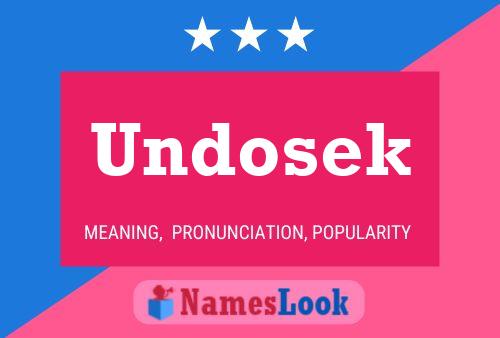 Pôster do nome Undosek