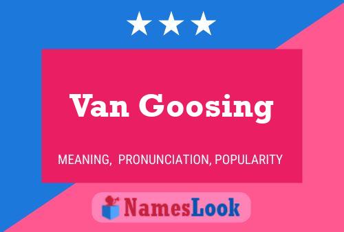 Pôster do nome Van Goosing