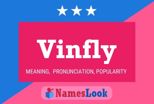 Pôster do nome Vinfly