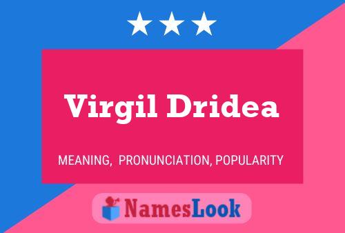 Pôster do nome Virgil Dridea