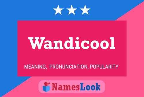 Pôster do nome Wandicool