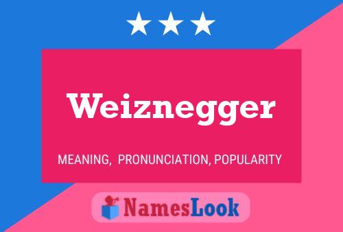 Pôster do nome Weiznegger