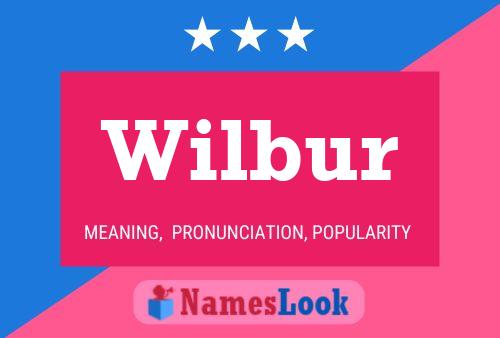 Pôster do nome Wilbur