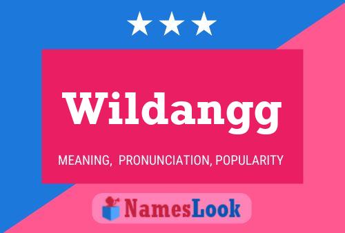 Pôster do nome Wildangg