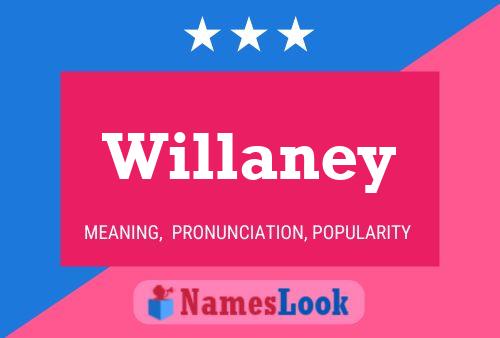 Pôster do nome Willaney