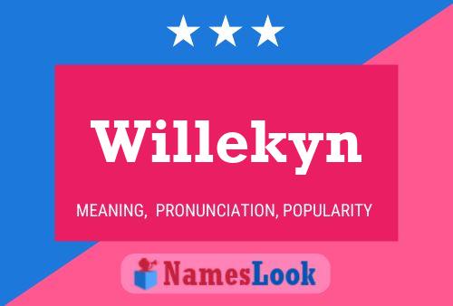 Pôster do nome Willekyn