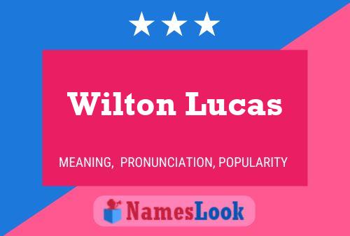 Pôster do nome Wilton Lucas