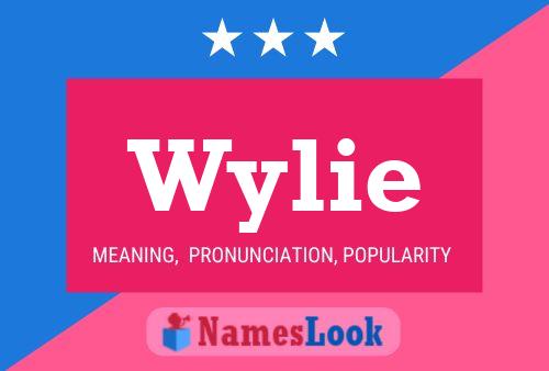 Pôster do nome Wylie