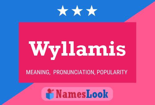 Pôster do nome Wyllamis