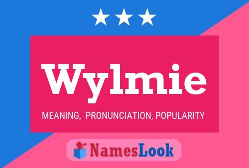 Pôster do nome Wylmie