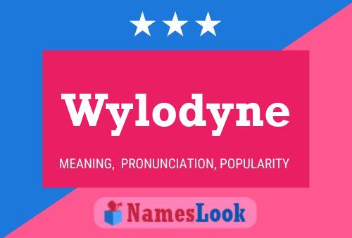 Pôster do nome Wylodyne