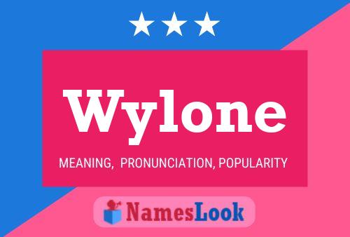 Pôster do nome Wylone