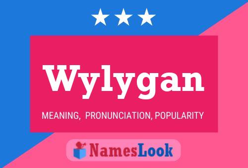 Pôster do nome Wylygan