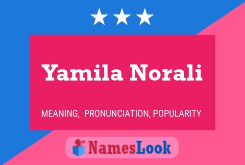 Pôster do nome Yamila Norali