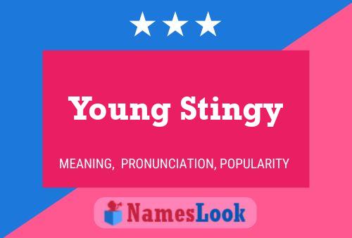 Pôster do nome Young Stingy