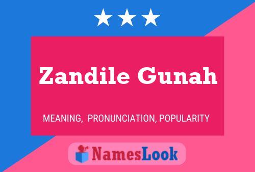 Pôster do nome Zandile Gunah