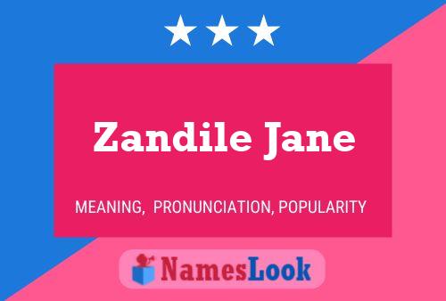 Pôster do nome Zandile Jane