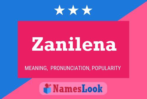 Pôster do nome Zanilena